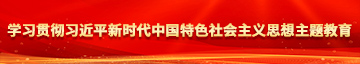 嫩逼AV学习贯彻习近平新时代中国特色社会主义思想主题教育