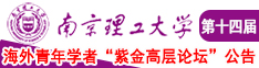 狠狠搞b南京理工大学第十四届海外青年学者紫金论坛诚邀海内外英才！